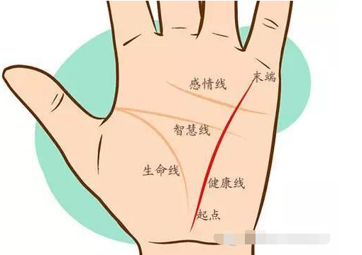 手掌上有许多掌纹都可以看健康,除了三大主线之外其他掌纹也可以,比如