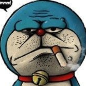 【一点资讯】娱乐猫专家