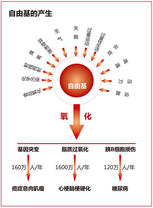 白茶中的自由基含量最低,这自由基是什么东西?