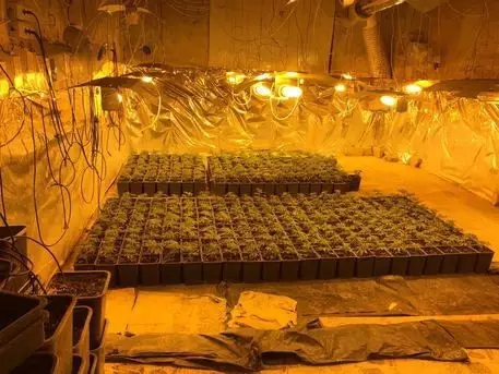 意大利启动税务大赦 1月23日截止 - 意大利新闻