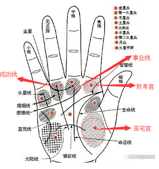 北空师傅:手相看哪些人最适合投资?_北空风水