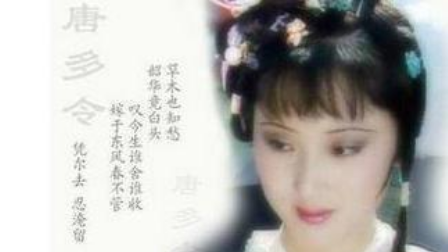 红楼梦读后感 红楼梦里这些风筝的放飞,早已暗