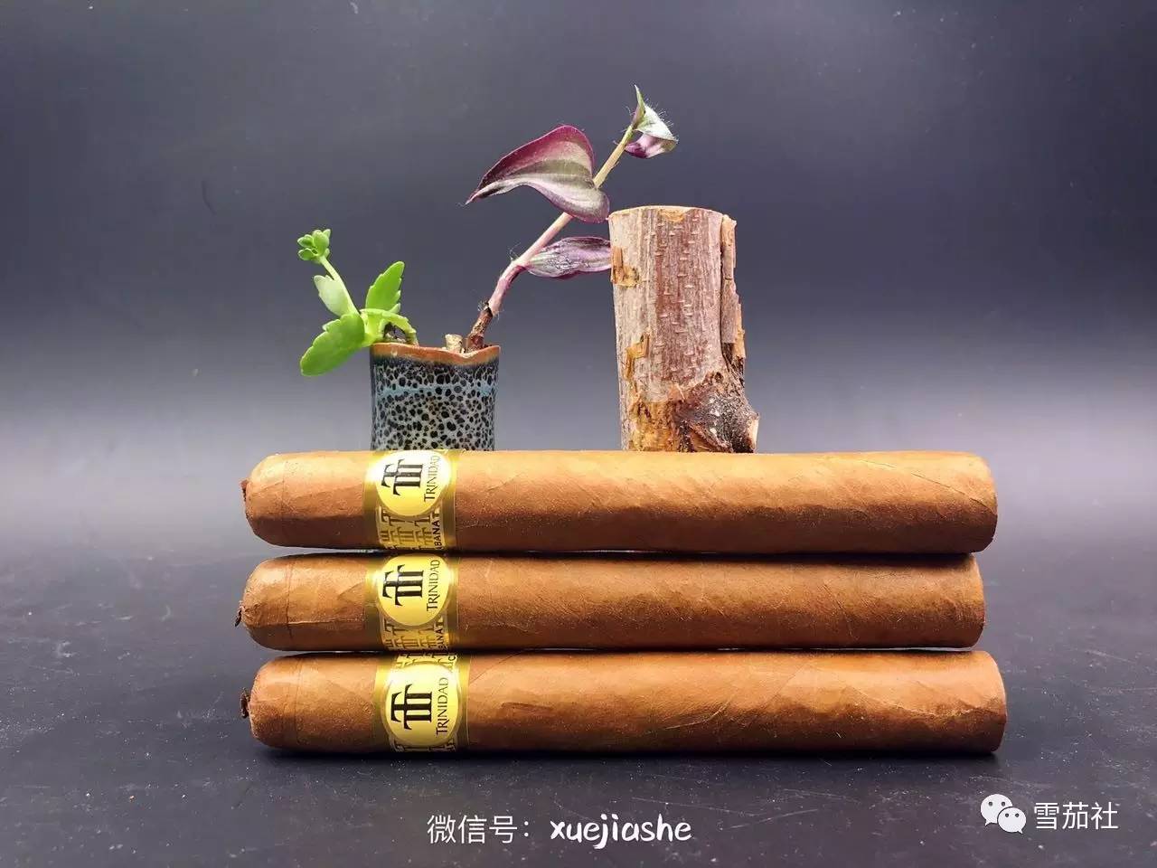 雪茄与烟斗,你更钟情哪个?