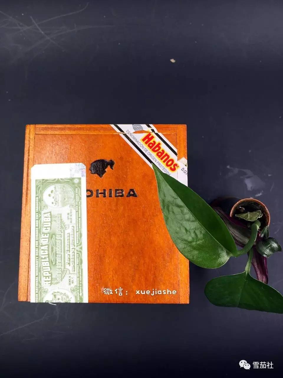 做雪茄的朋友，我有些沉重