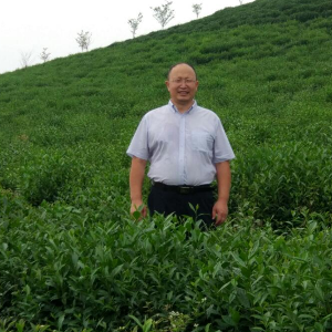 民间借贷,律师教你怎么算利息,利息算法有新规