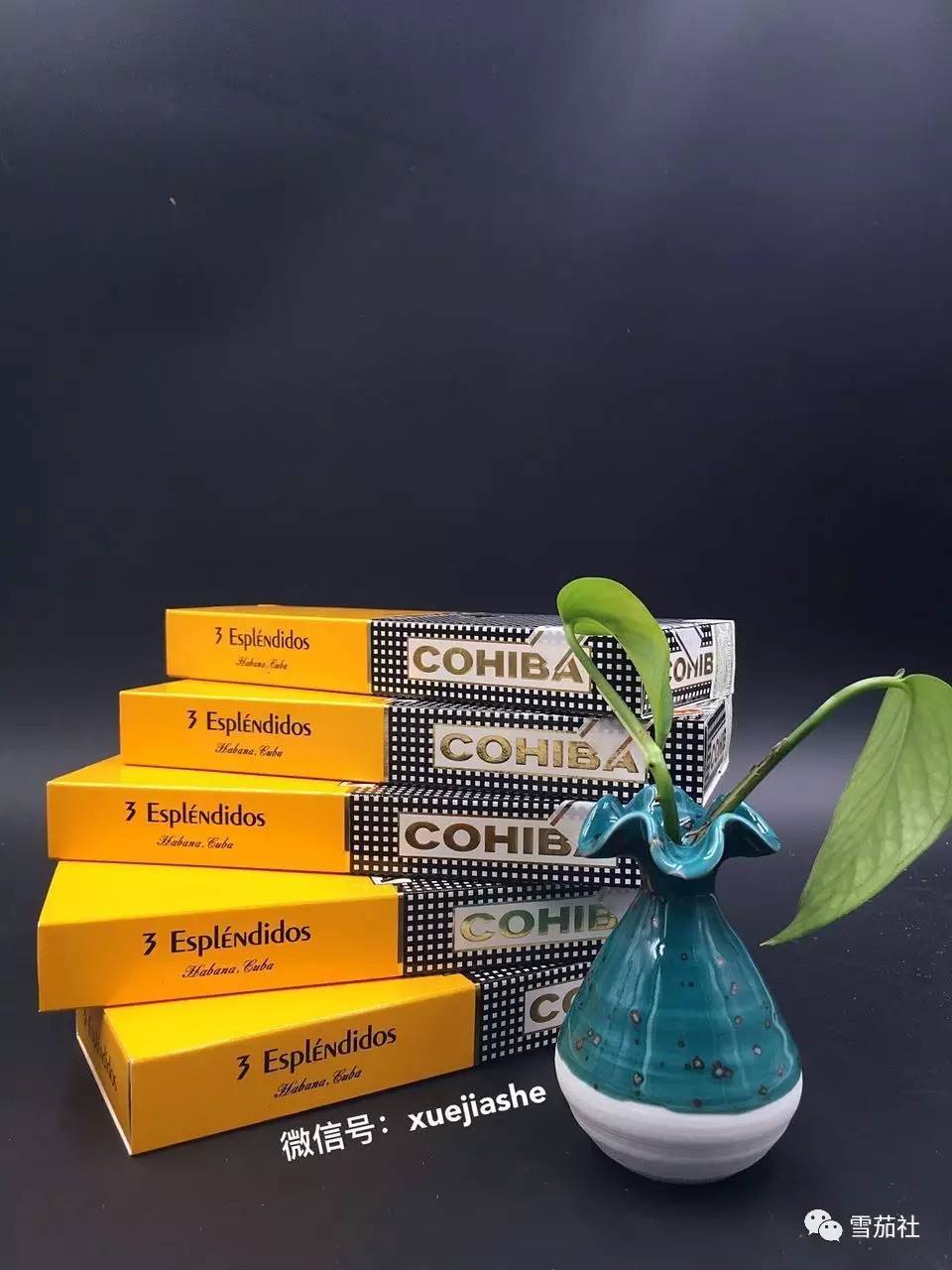 手工雪茄爱好者的别样情怀