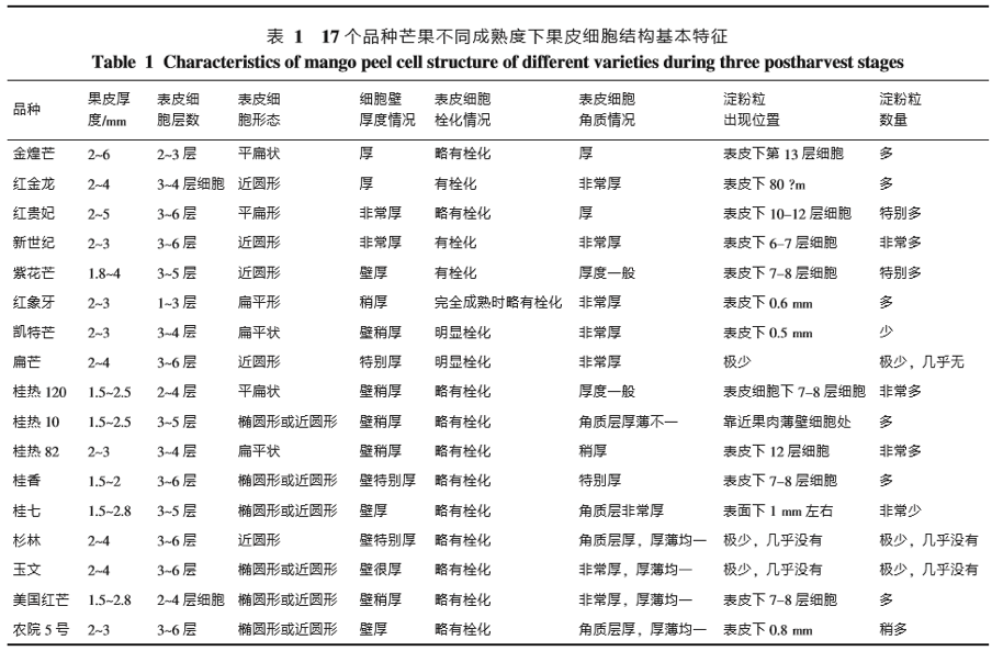 图版:不同品种不同成熟度芒果果皮细胞结构