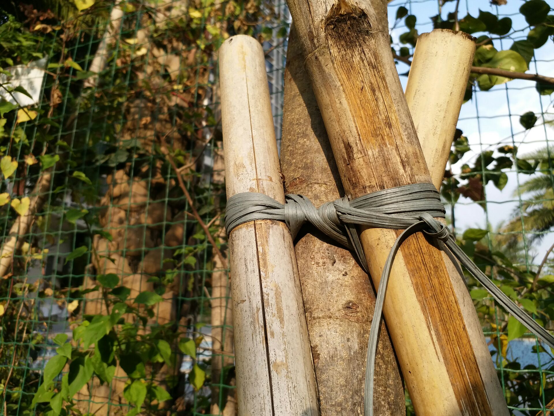 除了顏值高輕薄還有啥？ 三星C7 Pro一周體驗告訴你