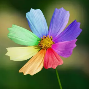 看看这部电影中狙击手如何用重狙枪把人打飞起