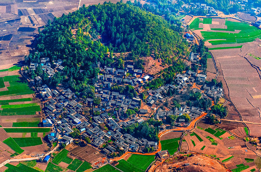 确权人口地(2)