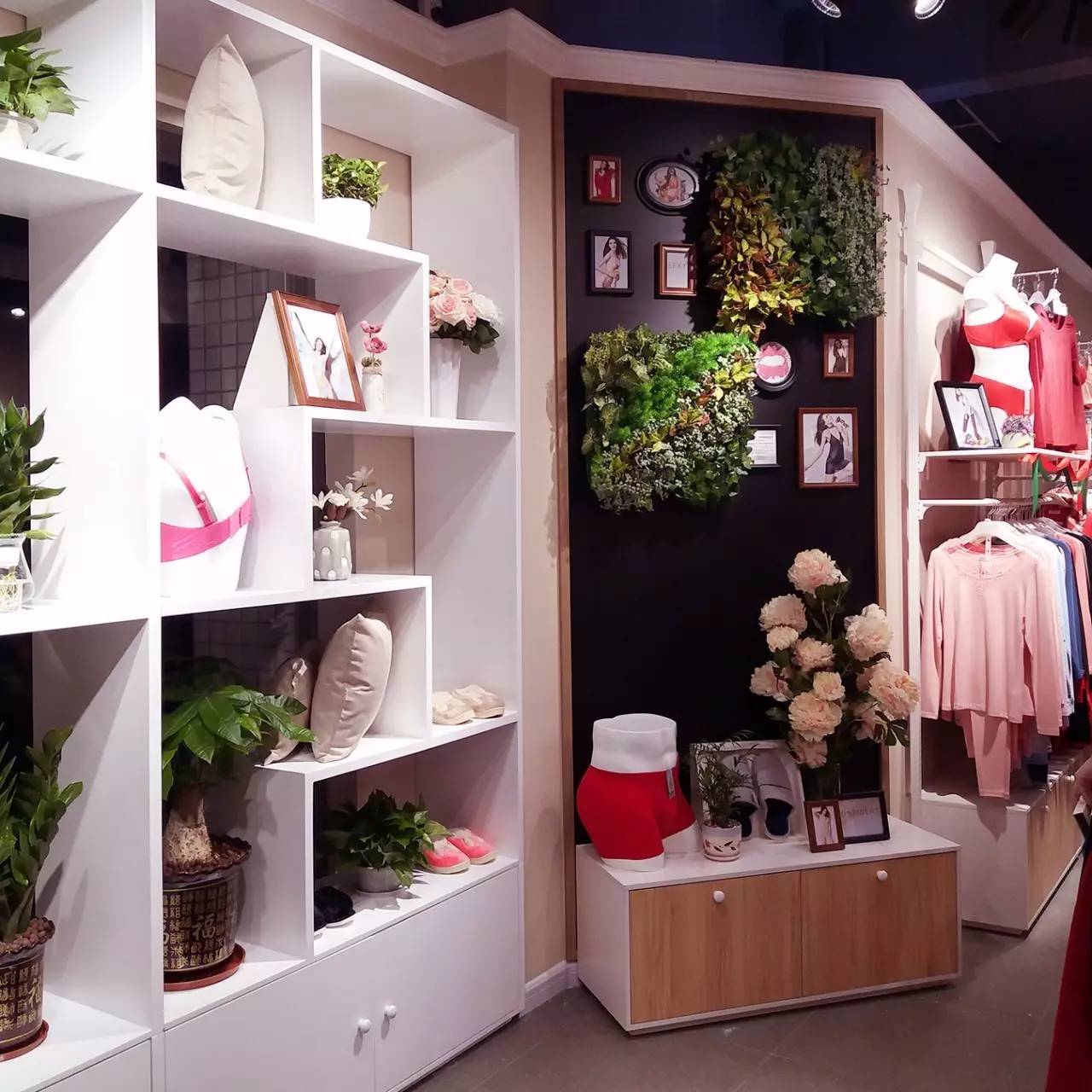 河源内衣店_河源恐龙博物馆(2)