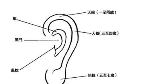 面相中关于耳朵的算命知识,看看你有一双好耳朵吗!