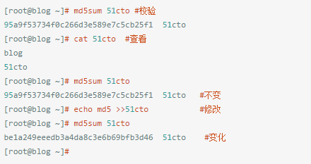 一次和公司总监的聊天...