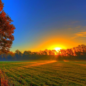 最佳受孕日期和最佳受孕时间,想要宝宝的夫妻