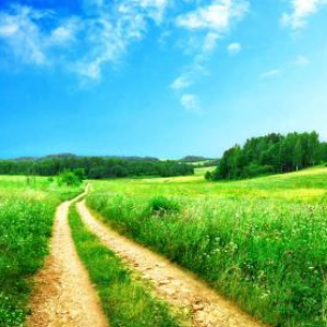 十一选五走势必中技巧之--一招教你如何玩转十