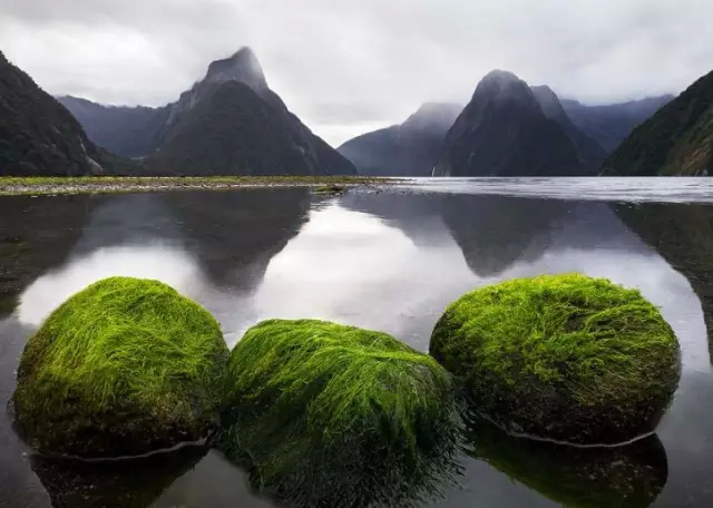 DAY6:蒂阿瑙(Te Anau)-米佛峽灣(Milford Sound)-皇后鎮(Queenstown) 早餐后,一早前往米佛峽灣[峽灣國家公園】米爾福德峽灣是世界著名的自然奇觀,位于新西蘭南島的西南部峽灣國家公園內的一處冰河地形。陡峭、嶙峋的懸崖自平靜黑暗的水面穿出,巖壁上生長著茂密的雨林,瀑布從數百米高的地方飛瀉入海。從皇后鎮去峽灣的公路號稱全世界最美公路,沿途路經許多景點,如鏡湖、步道,還有荷馬隧道。觀光船緩緩駛出米爾福德峽灣的碼頭后,可以看到在右手邊是高度達160米的包溫瀑布,風勢強勁時,瀑布
