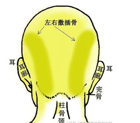 面相看命运,骨相知富贵,他是龙虎骨,马云是什么