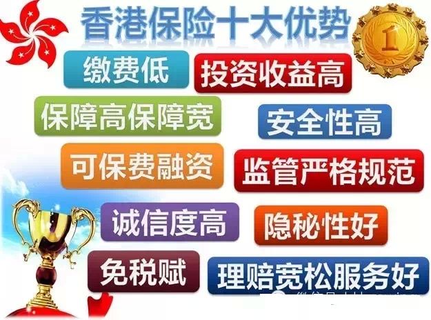 人寿重大疾病保险多少钱