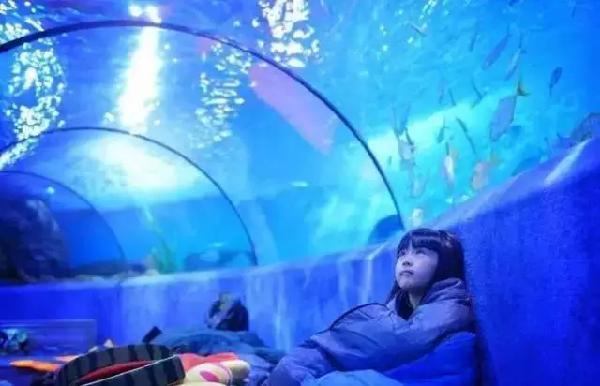 今天 >汉海海洋公园开业啦<</p> 重庆汉海海洋公园由新加坡投资,隶属于汉海海洋世界集团。项目坐落于重庆市巴南区龙洲湾,紧临轨道交通3号线学堂湾站。 海洋公园将开放雨林馆、大洋馆两大元素场馆,参观面积23,000平方米,展示生物数百种,共计5万余尾。场馆包含360全景珊瑚礁、银河水母馆、潘多拉广场 、海神殿等12个极具特色的主题展区。 >小伙伴们等不及了<</p> 重庆汉海海洋公园场馆简介 Andove