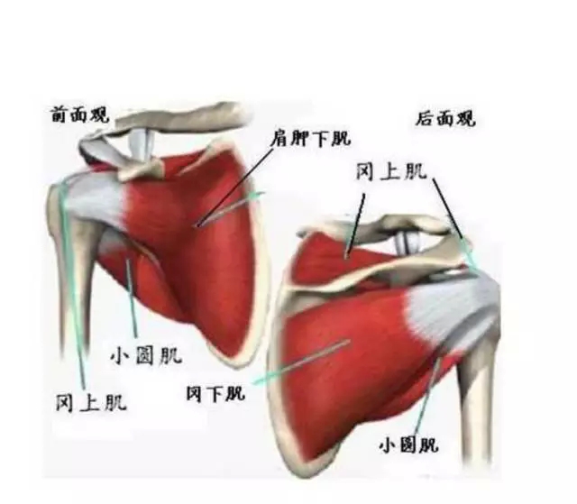 肩周炎是一种我们生活常比较常见的一种症状