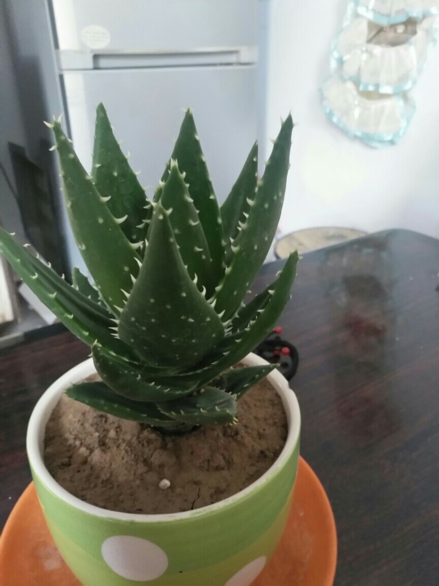 农村社保每年交100元,交完15年,看你每年能领多少钱