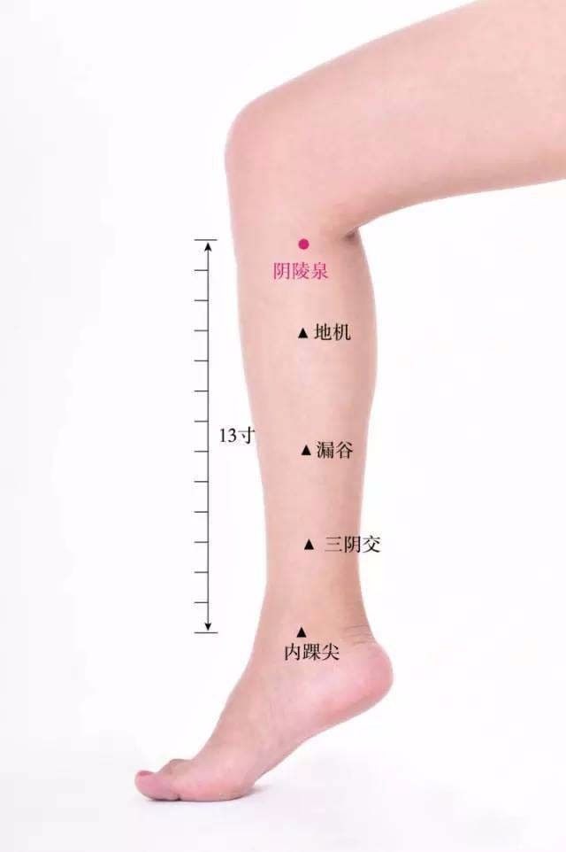 王三喜：体内湿气重？常按这两个穴位，健脾又祛湿