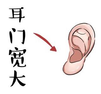一个人的耳朵厚实,硬且宽大,这样的人大多都能够长寿.