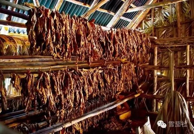 古巴黑雪茄经过五年自然发酵酿出精彩