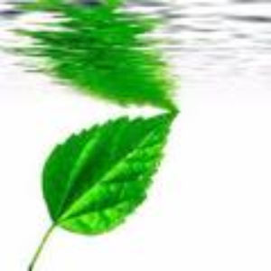 日制造业最大破产案诞生高田夺命气囊丑闻伤不