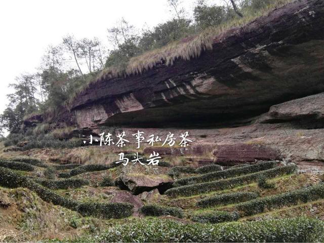 佛国岩是武夷岩茶三坑两涧的核心产区？牛栏坑表示不服！
