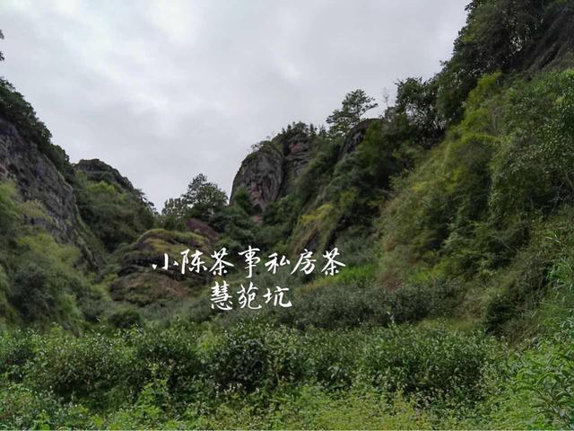 佛国岩是武夷岩茶三坑两涧的核心产区？牛栏坑表示不服！
