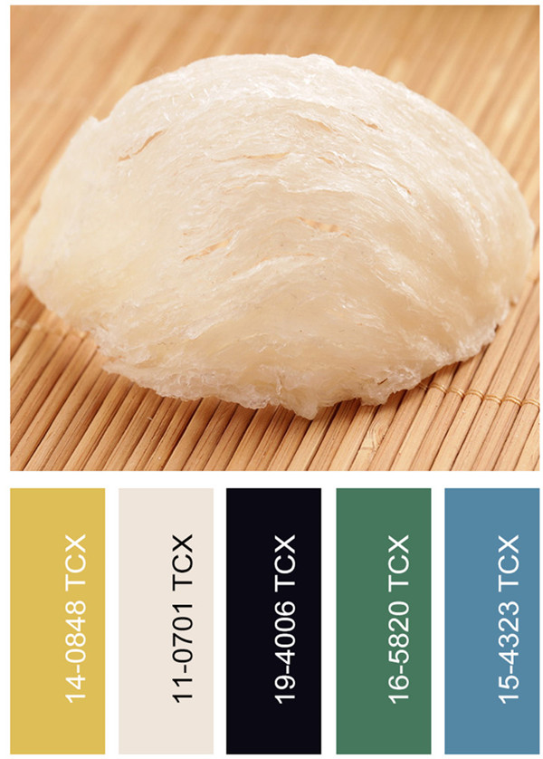 备受男士推崇的2018春夏男装流行色彩在这里