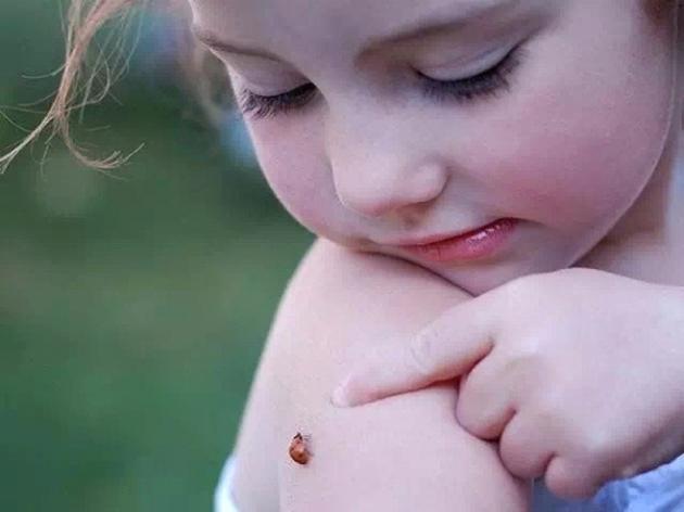 象征幸运的小瓢虫 意式珠宝FACCO为你呈现(