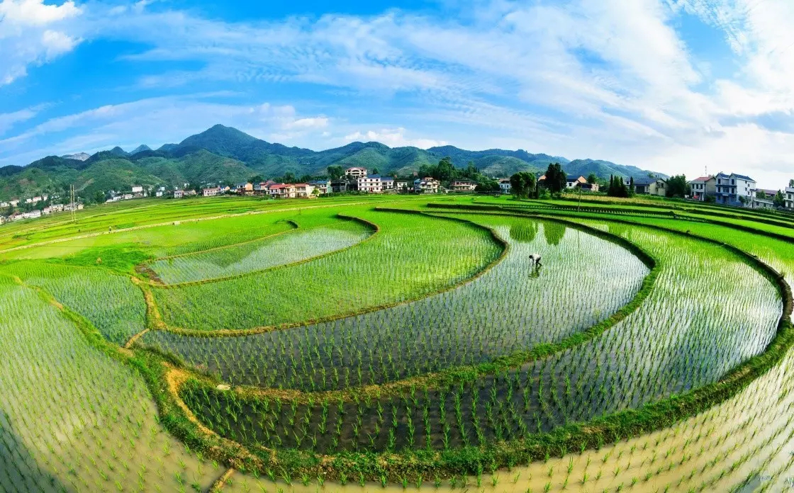 新增人口农村土地法_农村别墅(3)