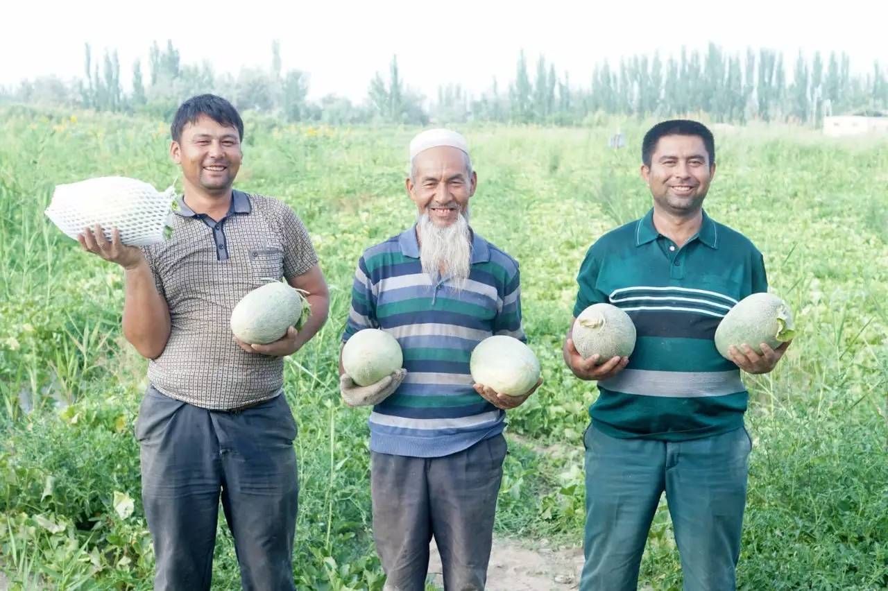 手淘新入口!农村淘宝大动作 832贫困县农产品