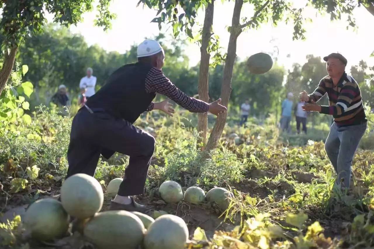 手淘新入口!农村淘宝大动作 832贫困县农产品