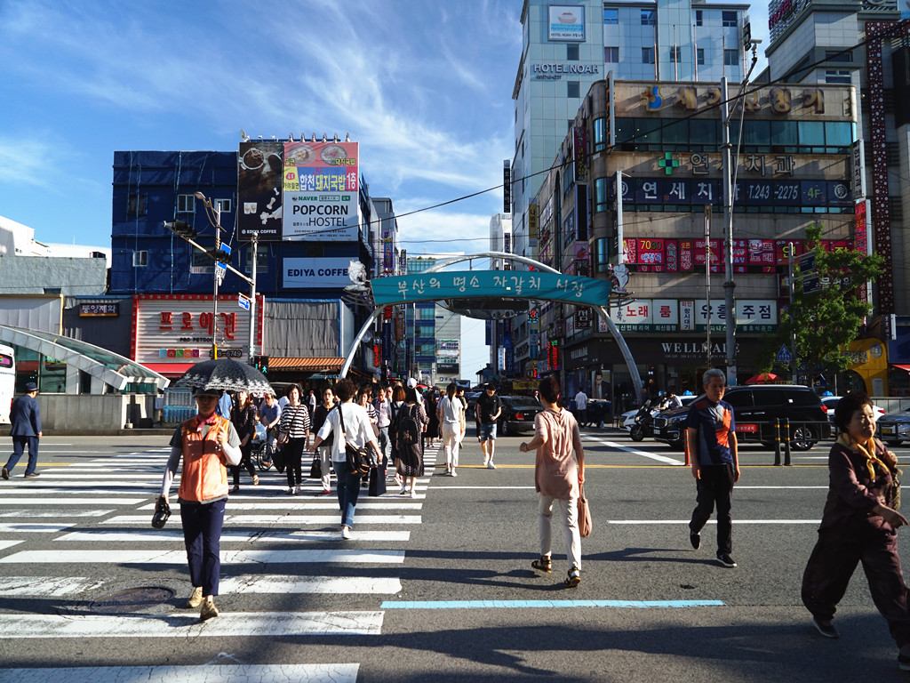 十一黄金周游国际市场，走街串巷寻札嘎其嫂子