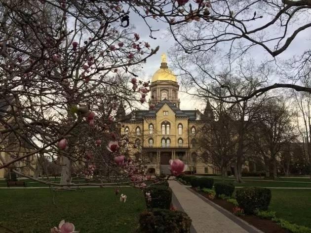 高顿财经美国商学院值得读吗?美国会计硕士好