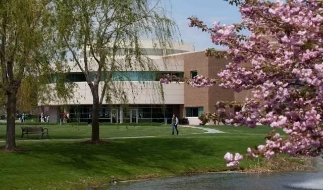 高顿财经美国商学院值得读吗?美国会计硕士好