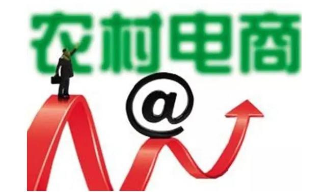 实战:企业如何做好农村电商发展_中国电子商务