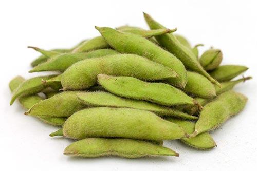 吃水果减肥?看看1斤水果等于几斤脂肪!