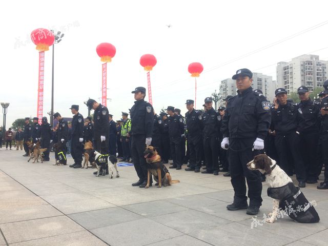 警犬出动！新都整治寄递物流运毒 一个包裹都不放过