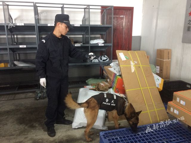 警犬出动!新都整治寄递物流运毒 一个包裹都不