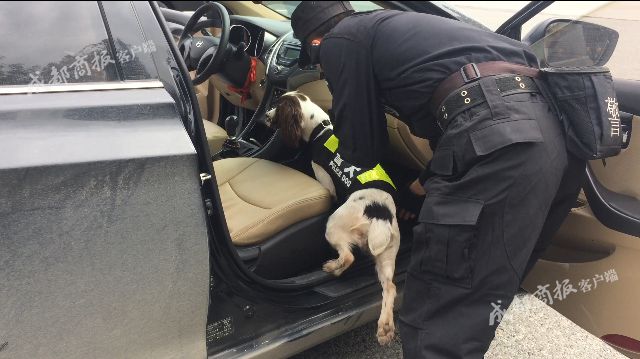 警犬出动！新都整治寄递物流运毒 一个包裹都不放过