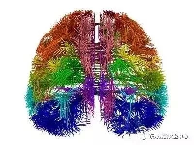 东方爱婴山东文登早教中心—既然孩子3岁前发生的事到成年后会忘记，那么我们为什么还要早教？