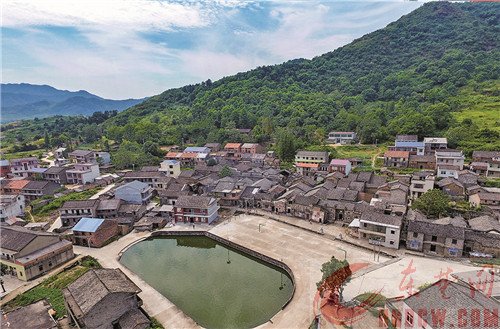 登录查看大图