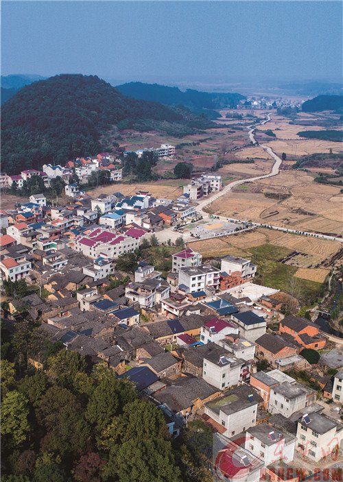 登录查看大图