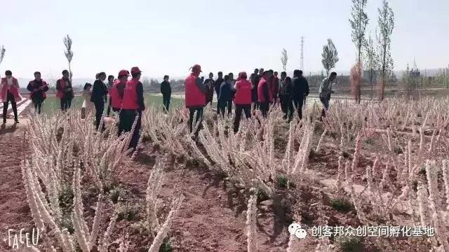 全国首创：靖远农民创客大学(5)