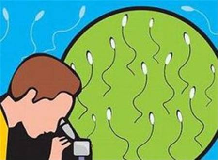 男人备孕吃什么提高精子质量 全面解析如何提