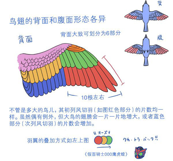 自学动漫绘画教程大全，自学动漫绘画必备素材！